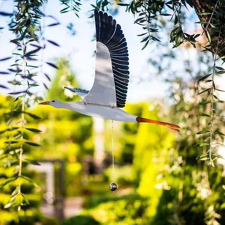 Mandani Apartamento *