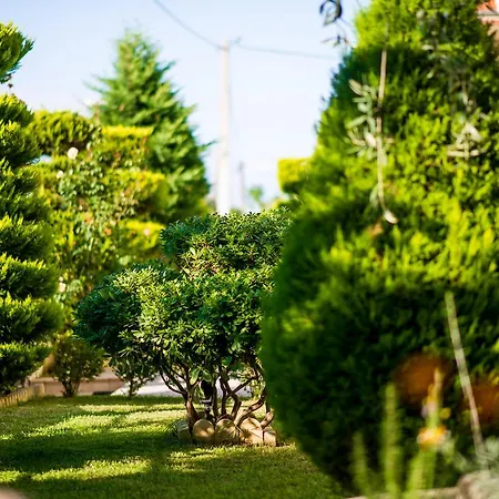 Apartamento Mandani *