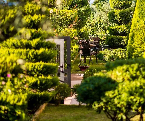 Mandani アパート