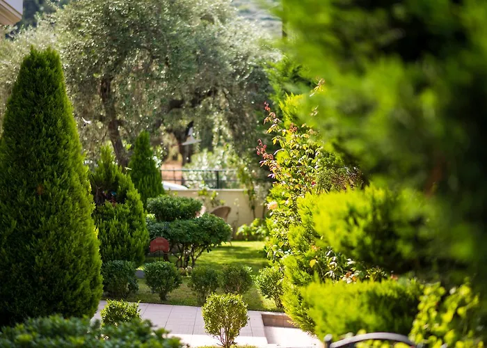 Mandani アパート *