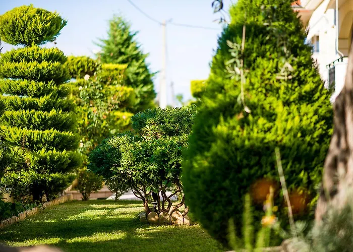 アパート Mandani *